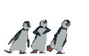 pingouins dansants
